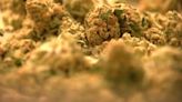 KY3 Digital Extra: Some Springfield dispensaries haven't paid taxes for marijuana sales