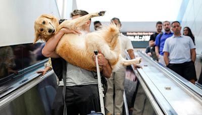 New rules about traveling with dogs begin this week. Here’s what to know