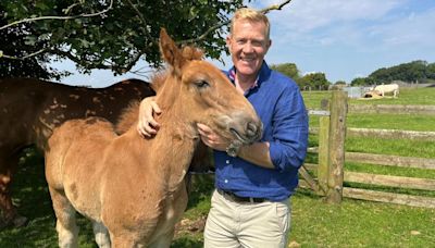 Gloucestershire in pictures: Farm fun and public art