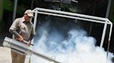 Salud confirma 22 mil 211 casos de dengue en el país