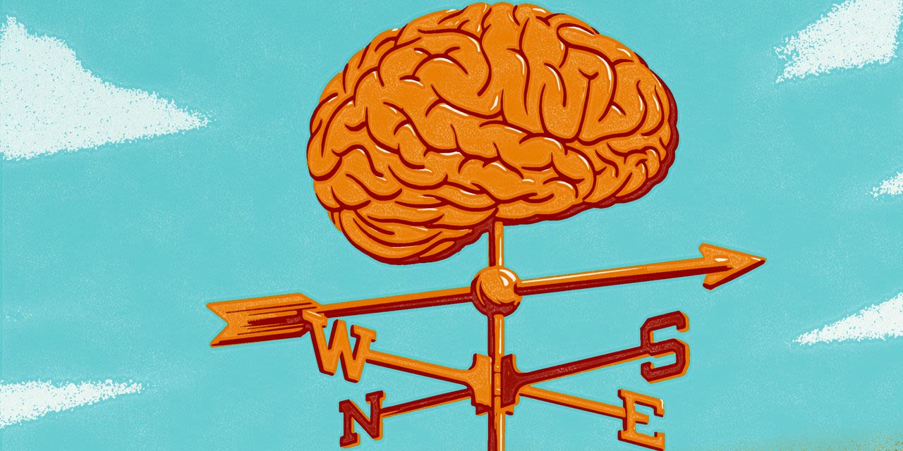 What Our Brains Know About Stocks—But Won’t Tell Us