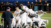 Chicken, waffles and a semifinal win: Willard baseball advances to Class 5 championship