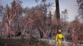 Controlan en un 39 % el incendio cerca de Yosemite en California