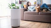 You can breathe easy — these five air purifiers help keep your home’s atmosphere clean