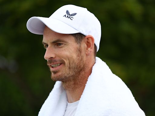 Murray needs another 24 hours to decide on Wimbledon involvement