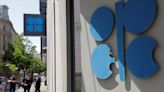 OPEC upbeat over 2024 oil demand outlook despite slowdown