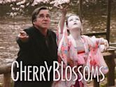Kirschblüten - Hanami