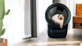 The Litter-Robot 4 Lets You Say Goodbye to Daily Scooping Forever