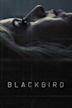 Blackbird