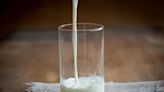 Nutrición en un vaso: la importancia del consumo de leche fresca para una vida saludable - Diario El Sureño