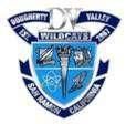 Dougherty Valley High School