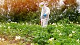 Méfiez-vous de ces nuisibles qui vont attaquer le jardin cet été