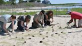 Living shoreline restoration project at Franklin Point State Park | PHOTOS