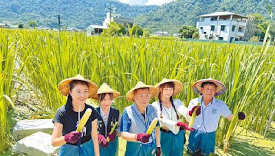 茭點女神暖身 許淑華下田推廣美人腿