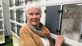 Dame Judi Dench opens updated wildlife hospital