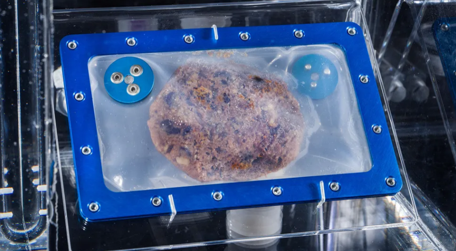 Smithsonian Displays Space-Baked Cookie That Was Preserved From ISS