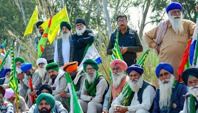 Farmers Protest: HC Directs Haryana To Remove Barricades At Shambhu Border Within A Week