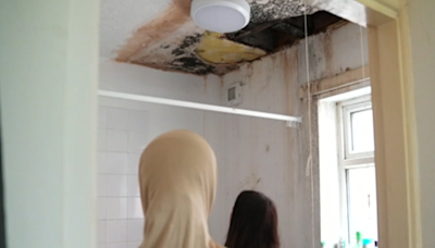 Family's fears over damp and mouldy council house