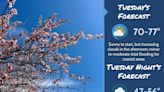 South Jersey forecast calls for sunny, mid-spring conditions on Tuesday, April 9