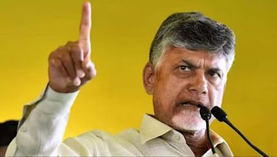 Bombay High Court dismisses plea by TDP’s Chandrababu Naidu in 2010 assault case