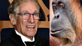 ‘You ARE The Father!’: Maury Povich Announces DNA Results For Denver Zoo