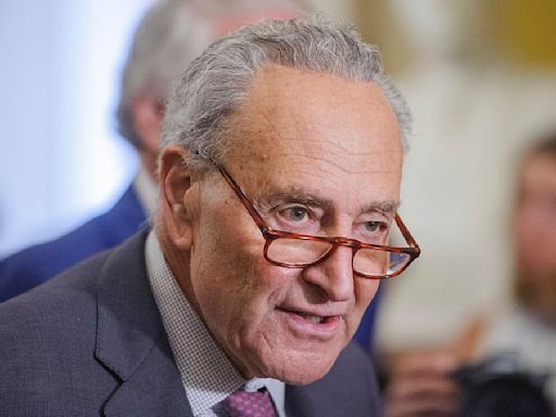 Schumer forces GOP to go on record opposing child tax credit bill