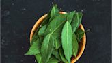 Receta de las abuelas para hacer insecticida casero con hojas de laurel