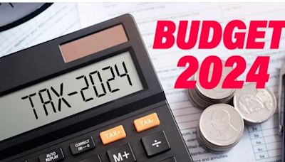 Budget 2024: How to use Income Tax Calculator online and latest tax slabs
