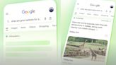 Google Expands AI Overviews For Search Users; Here’s How To Use It