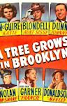 A Tree Grows in Brooklyn (1945 film)