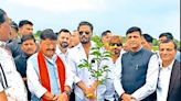 Indore to create record by planting 51 lakh trees
