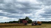 Photo of the Week: OSR harvest 2024 against stormy skies - Farmers Weekly