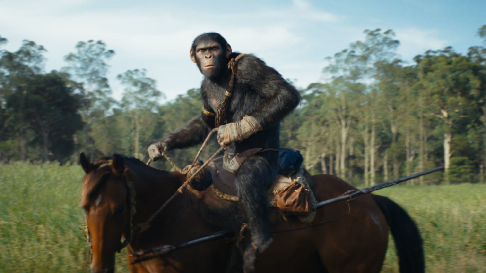 Kingdom Of The Planet Of The Apes Takes Over Weekend Box Office