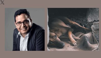 Paytm founder Vijay Sekhar Sharma wants to fund vending machine for stray dogs, sparks chatter