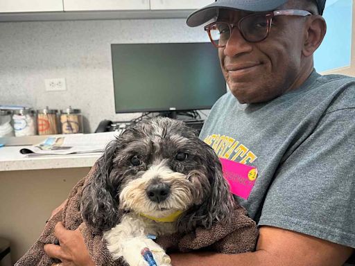 Al Roker Skips the 'Today' Show as His Dog Recovers from Emergency Surgery: 'She's Getting Great Care'