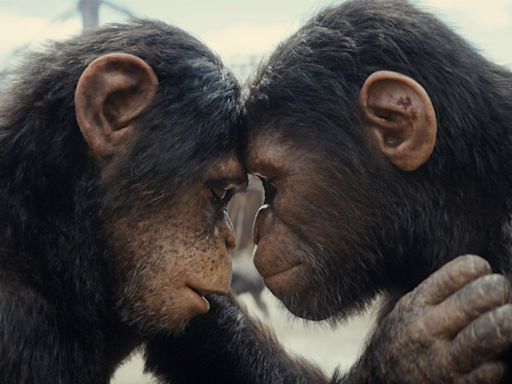 'Kingdom of the Planet of the Apes' actor says character is 'metaphor for evolution'