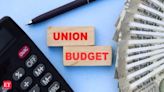 Budget Tax Targets: Sitharaman hopes to bump up tax revenues further in FY25 - The Economic Times