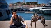 The real stars of Cannes may be the dogs - The Morning Sun