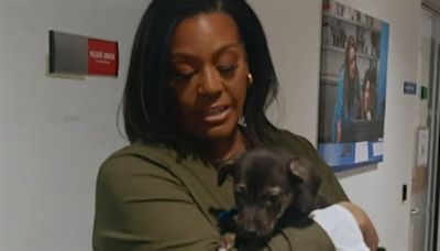 Alison Hammond wins over the public as host of For The Love Of Dogs after shaky start to the series as replacement for late Paul O'Grady