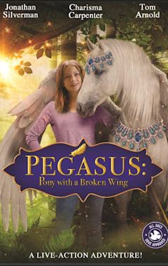 Pegasus: Pony with a Broken Wing