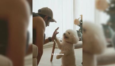 In Kartik Aaryan's New Post With Pet Katori, Will The Real "Champion" Please Stand Up?