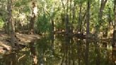 Rangers shot dead a 14-foot crocodile after it killed a girl swimming in an Australian creek