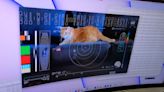 NASA laser-beams adorable cat video to Earth from 19 million miles away (video)