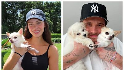 La nuera de David Beckham demandará a una peluquería de perros en Nueva York por la muerte de su chihuahua