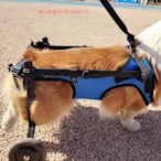 精品狗輪椅寵物支架狗后肢殘疾代步車小型犬殘疾車脊椎輔助車泰迪