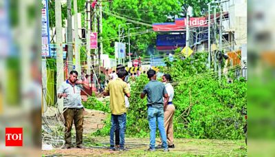 Disagreement between TNEB and Madurai Corporation over Tree Debris Removal | Madurai News - Times of India