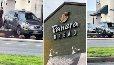 'But where's the car supposed to go?': Viewers defend Panera customer who can’t figure out drive-thru, causes havoc