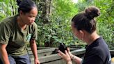 First hatchling in captivity offers hope for Cambodia's endangered Black Marsh Turtle