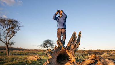 La Titina: la estancia que recibe huéspedes y tiene una reserva natural repleta de aves