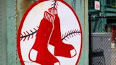 Red Sox prospect Johanfran Garcia to undergo season-ending surgery - The Boston Globe